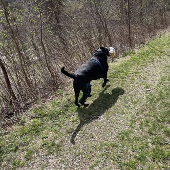 Paws PT - Veterinarians Near Me - Monroeville, Pennsylvania Paws PT - Veterinarians Near Me - Monroeville, Pennsylvania