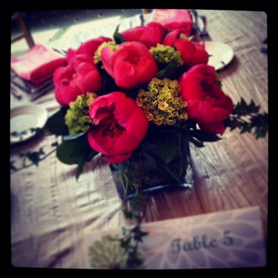 Michael Florist Ltd by null