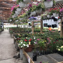 Yonder Farms - So many plants!