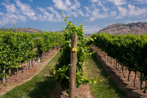 Miradoro Restaurant by null