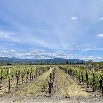Trentadue Winery - Wineries Near Me - Geyserville, California Trentadue Winery - Wineries Near Me - Geyserville, California