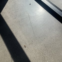 Dunkin' - Roaches on dining room floor