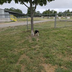 Frank Grasse Dog Park