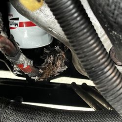 Victory Lane Quick Oil Change - Rodent damage