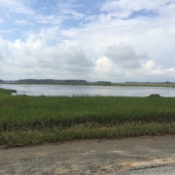 Prime Hook National Wildlife Refuge - Parks Near Me - Milton, Delaware