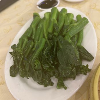 Koi Palace - 665 Chinese Broccoli w/ Oyster Sauce - Dim Sum Near Me - Milpitas, California Koi Palace - 665 Chinese Broccoli w/ Oyster Sauce - Dim Sum Near Me - Milpitas, California
