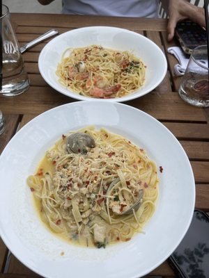 The Pearl South Bay by null