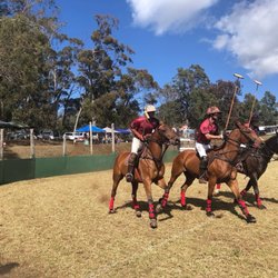 Maui Polo Club - Outdoor Field - More Maui Polo