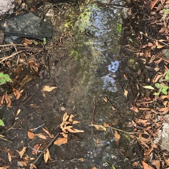 Clark Realty - Water flowing smells bad - Real Estate Services Near Me - Converse, Texas