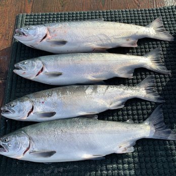 Hooky Charters - My buddy and my catch. - Fishing Near Me - Kenai, Alaska Hooky Charters - My buddy and my catch. - Fishing Near Me - Kenai, Alaska