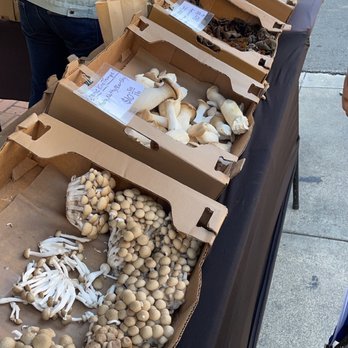 Vallejo Farmers' Market - Mushrooms - Grocery Near Me - Vallejo, California Vallejo Farmers' Market - Mushrooms - Grocery Near Me - Vallejo, California