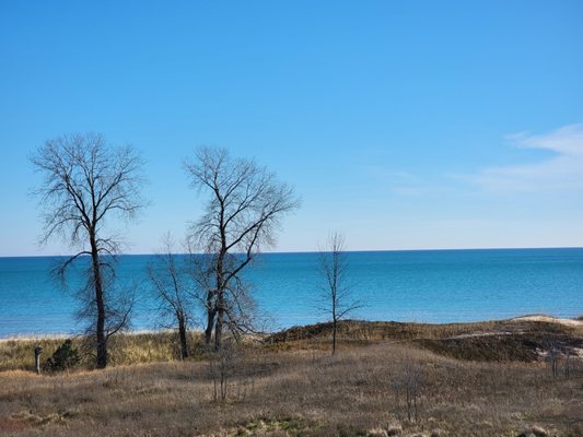 Kohler-Andrae State Park by null