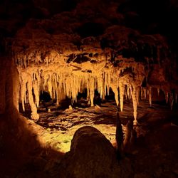 Florida Caverns State Park - Type of features you can expect on the cave tour.
