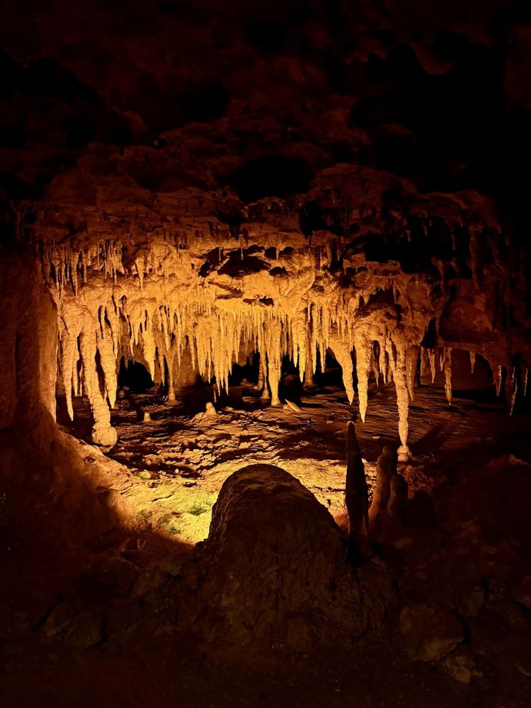 Florida Caverns State Park Image