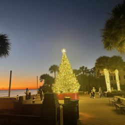Neptune Park - Neptune Park -- Dec 2024