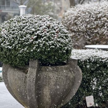 C & P Coffee Company - Outside the cafe during a snow storm - Coffee & Tea Near Me - Seattle, Washington