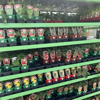 Round Rock Garden Center - Nurseries & Gardening Near Me - Round Rock, Texas Round Rock Garden Center - Nurseries & Gardening Near Me - Round Rock, Texas