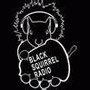 Photo of Black Squirrel Radio