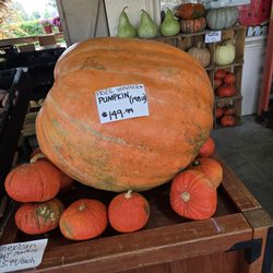 Skipper Farms