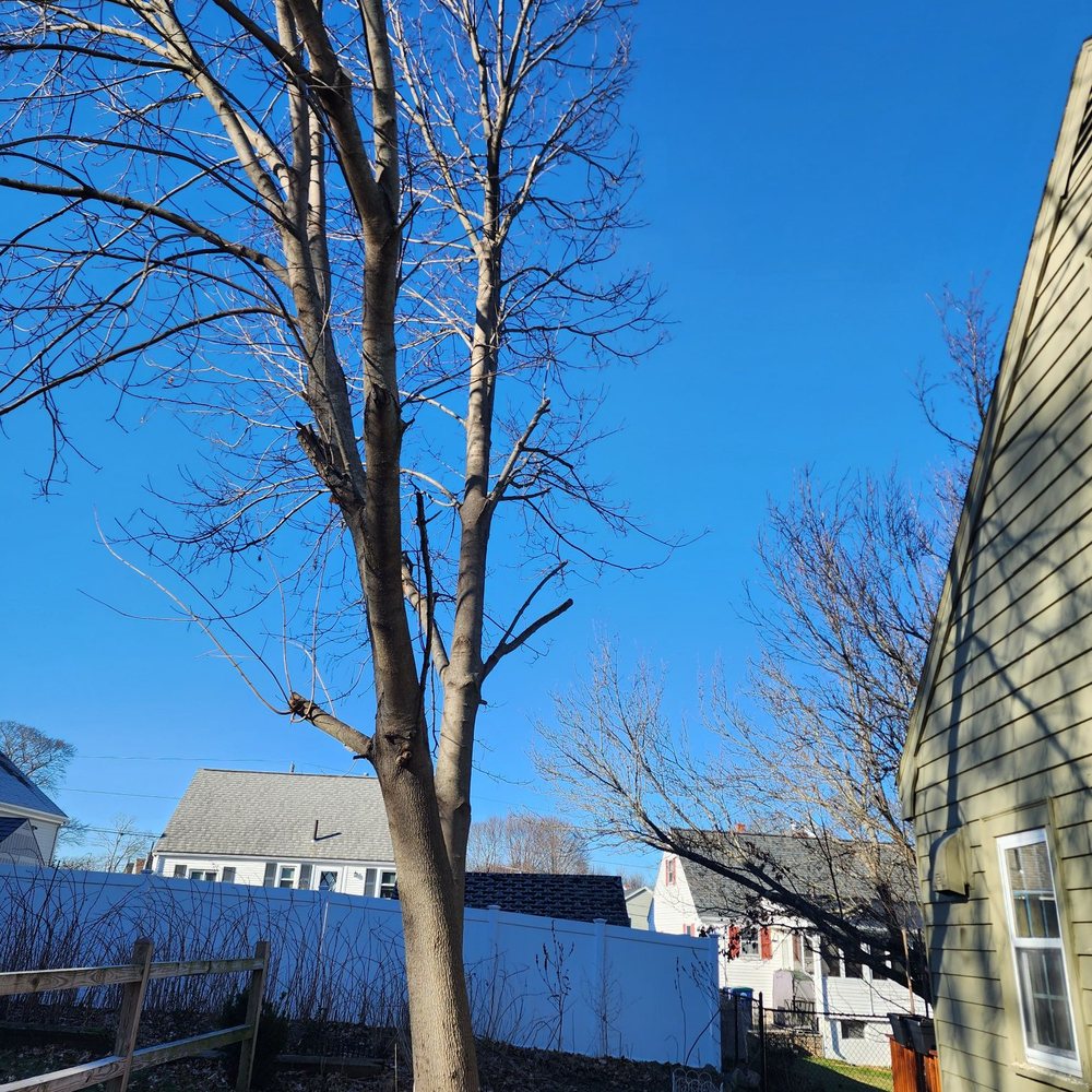 Edgar and Sons - After - Landscaping Near Me - Peabody , Massachusetts