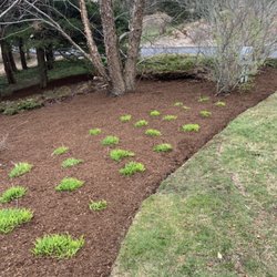 Carter's Landscaping