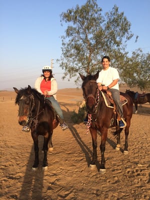 S&D Horseback Riding by null