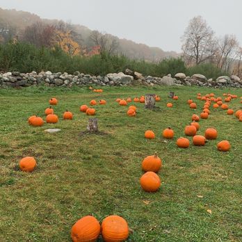 Drew Farms - Pumpkins - Pick Your Own Farms Near Me - Westford, Massachusetts