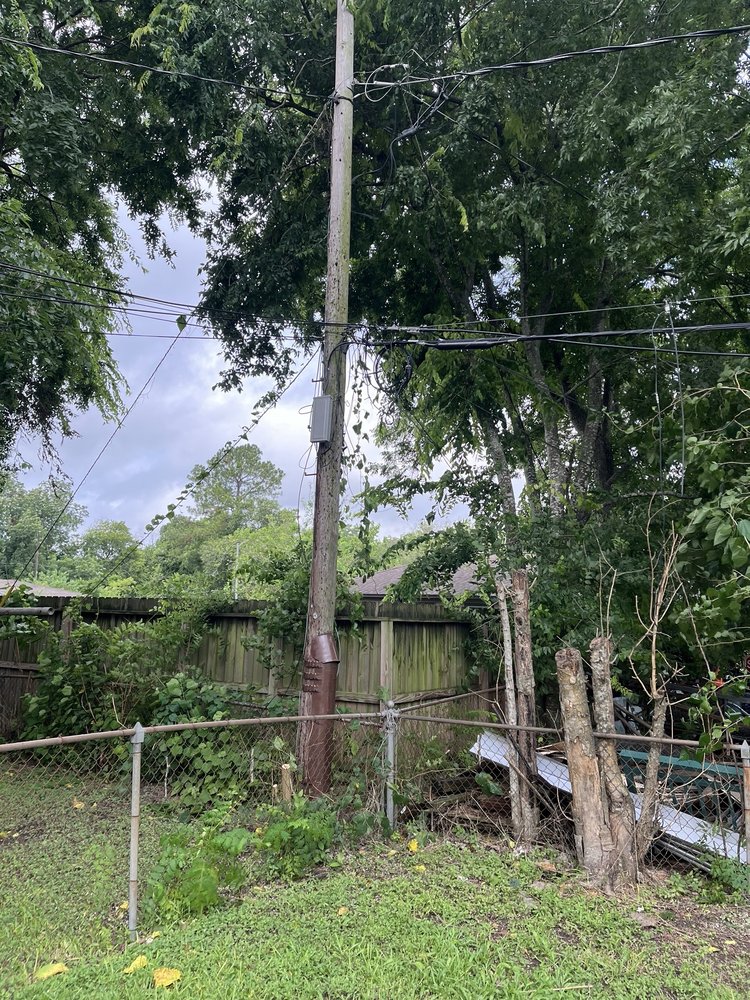 Jose Lozano Tree Services - tree service in Houston, TX