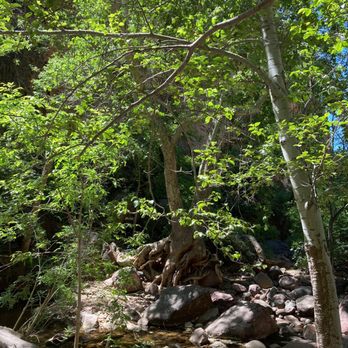 Tonto Natural Bridge State Park - Pine creek trail, full of birds! - Hiking Near Me - Pine, Arizona Tonto Natural Bridge State Park - Pine creek trail, full of birds! - Hiking Near Me - Pine, Arizona