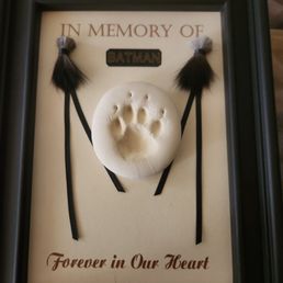 Here's the beautiful frame that came with my baby's ashes. Here's the beautiful frame that came with my baby's ashes.