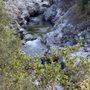 Photo of Panther Flat Campground