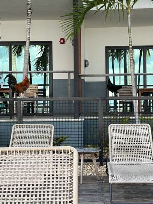 The Perry Hotel & Marina Key West by null