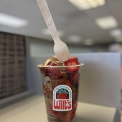 Wilt’s Berries