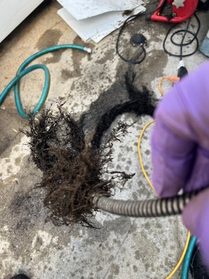 UC Rooter sewer & drain specialist Logo