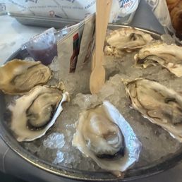 Oysters