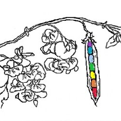 Phe's Therapies - Phe's Therapies logo