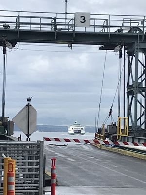 Colman Dock by null