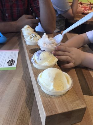 The Screamery by null