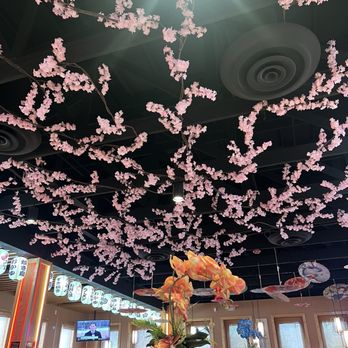 Sushi Kingdom - Sushi Bars Near Me - Dunwoody, Georgia