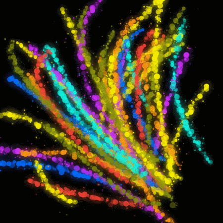 Slide of Lowcountry Roof Repairs