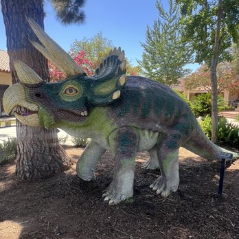 The Children's Museum - Children's Museums Near Me - La Habra, California The Children's Museum - Children's Museums Near Me - La Habra, California