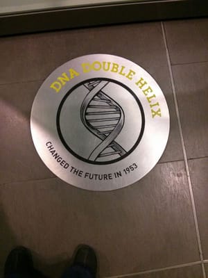 Science Museum by null