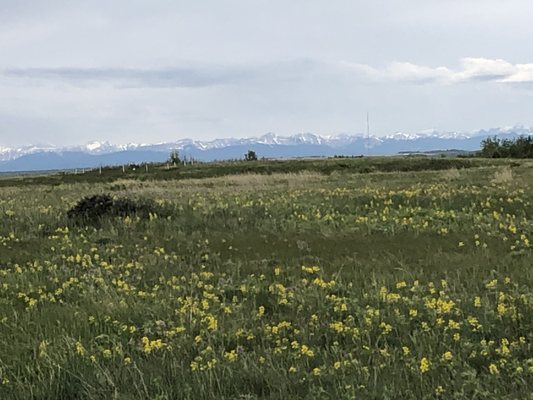 Nose Hill Park by null