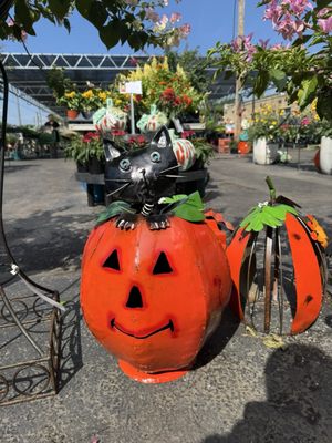 Green's Produce and Plants by null