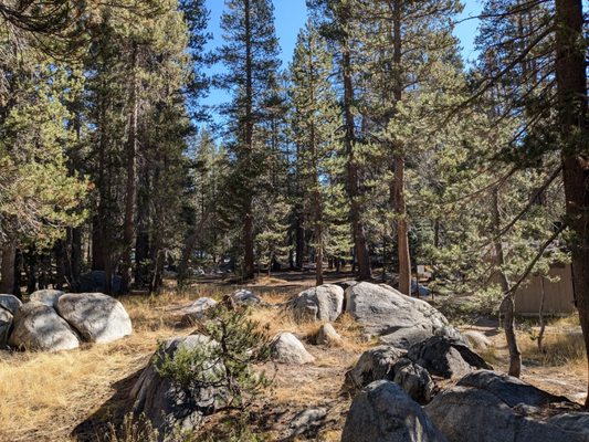 Porcupine Flat Campground by null