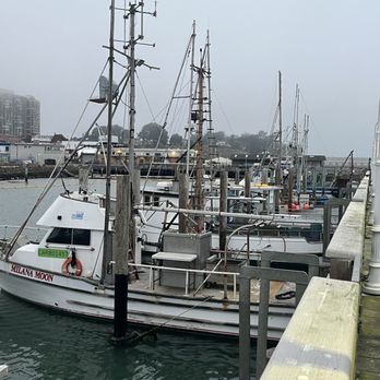 Scoma's Restaurant - View - Seafood Near Me - San Francisco, California Scoma's Restaurant - View - Seafood Near Me - San Francisco, California