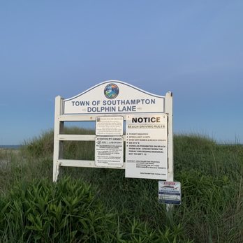 Great Day Surfing - Quality small waves between East Quogue and Hampton Bays - Surf Schools Near Me
