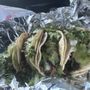 Photo of El Taconazo Grill