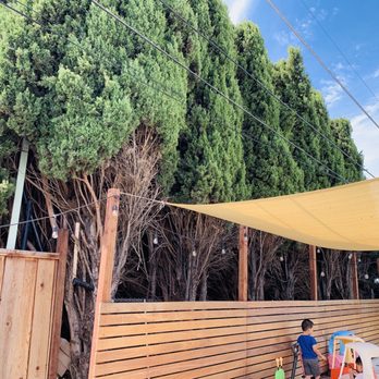 General Tree Service - Before - Landscaping Near Me - San Jose, California General Tree Service - Before - Landscaping Near Me - San Jose, California