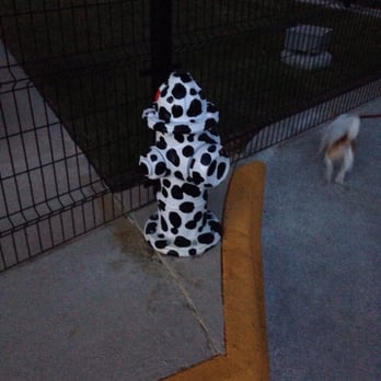 Bush Central Barkway - Dog Parks Near Me - Richardson, Texas